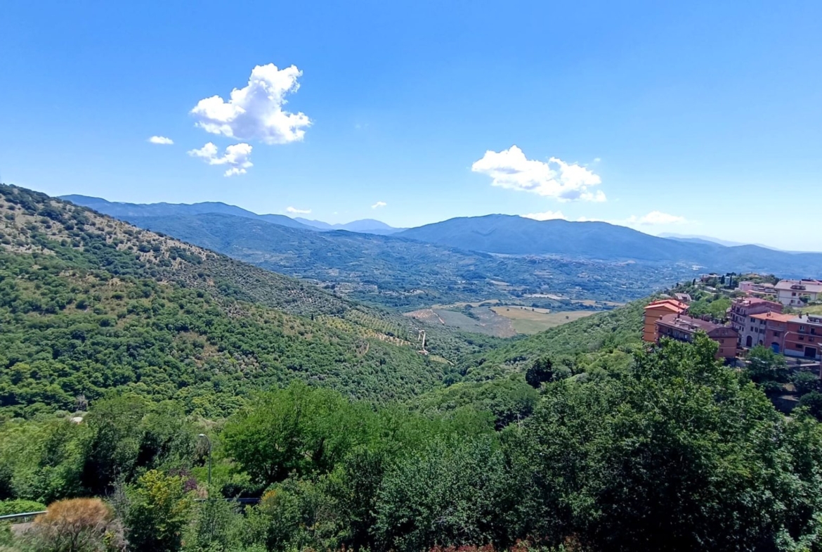San Polo dei Cavalieri T515